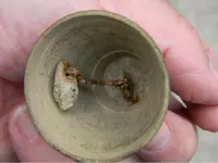 ImageUploadedByTreasureNet.com1439513575.793269.webp