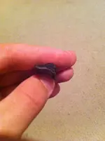 ImageUploadedByTreasureNet.com1438989720.263213.webp