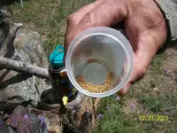 AMRAgold (2).webp