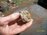 AMRAgold (1).webp