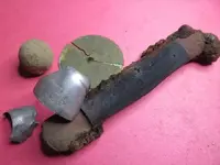BF 5.webp
