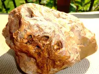 DSC00900.webp