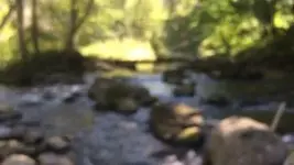 ImageUploadedByTreasureNet.com1442670376.569237.webp