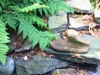 ImageUploadedByTreasureNet.com1438998134.807076.webp
