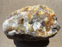 DSC00891.webp