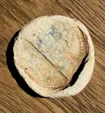 FullSizeRender1.webp