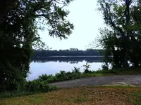 009.webp
