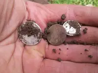 Bills coin spill.webp Bills coin spill.webp