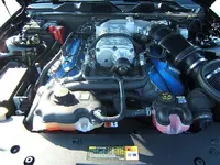 DSCF4067.webp