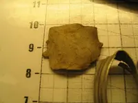 IMG_0121_1.webp IMG_0121_1.webp
