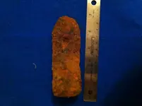buttplate2.webp