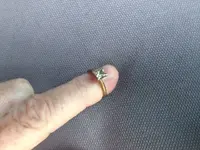 ring jr.webp