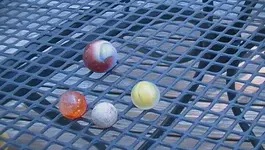SAM_0367.webp SAM_0367.webp