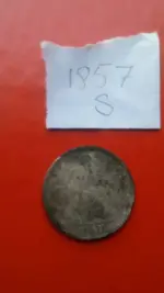 1441842254548.webp