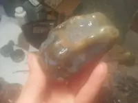 1441076462697.webp