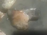 1441076572333.webp