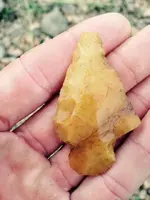 ImageUploadedByTreasureNet.com1441078770.202910.webp