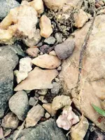 ImageUploadedByTreasureNet.com1441078783.220364.webp