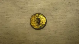 Second Gilt  Button From Colonial Site & Other Stuff 001.webp