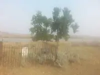1441082670167.webp