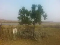 1441082670167-2.webp