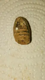 20150831_182810.webp