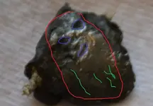face.webp