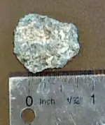 ImageUploadedByTreasureNet.com1444076307.367827.webp