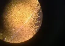 gold under microscope.webp