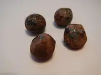 DSCN8202.webp