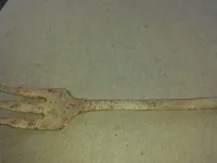 20150904 weekend fork 1.webp