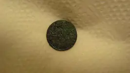 First Silver of 2015 Sept. 20 004.webp First Silver of 2015 Sept. 20 004.webp