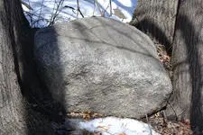 Granite rock and trees.webp