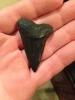 ImageUploadedByTreasureNet.com1442772247.392639.webp ImageUploadedByTreasureNet.com1442772247.392639.webp