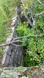 20150812_134407_resized.webp