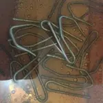 ImageUploadedByTreasureNet.com1441914355.602767.webp