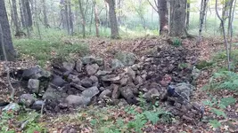 20150927_171337.webp