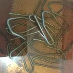 ImageUploadedByTreasureNet.com1441917394.713629.webp