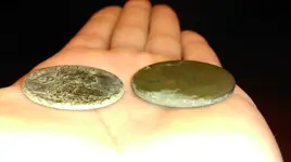 IMAG0893.webp