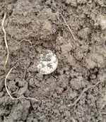 20151002_104012_resized-crop.webp