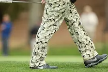 money pants.webp