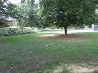 IMG_1638.webp IMG_1638.webp