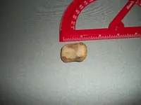 100_0127.webp