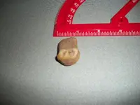 100_0128.webp