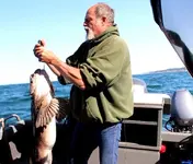 24.9 lb lingcod 9-4-15.webp