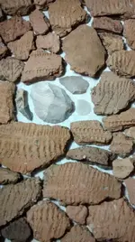 1441964274896.webp