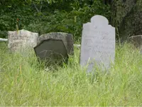 ImageUploadedByTreasureNet.com1441981404.188258.webp