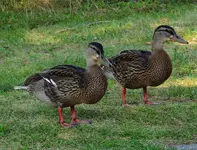 024.webp