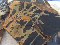 shale 2.webp