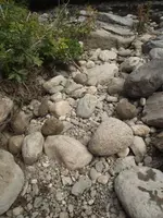 DSCF0213.webp